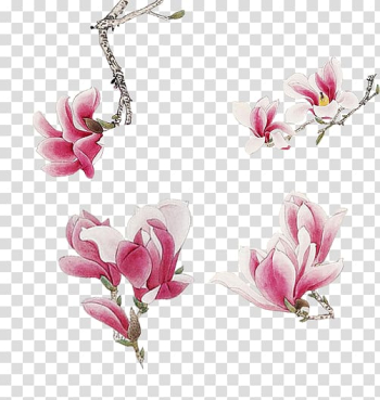 Pink Watercolor painting Flower, Hand painted watercolor pink floral decoration pattern transparent background PNG clipart