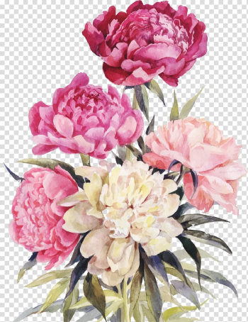 Pink, white, and purple peony flowers art, Peony Drawing Watercolor painting , peony transparent background PNG clipart