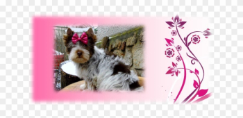 Pinky2 - Wedding Planner : Journal And Guide Pinky2 - Wedding Planner : Journal And Guide