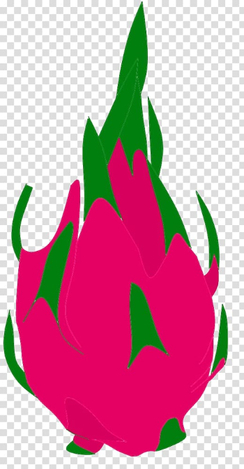Pitaya Fruit Chili pepper , dragon fruit transparent background PNG clipart Pitaya Fruit Chili pepper , dragon fruit transparent background PNG clipart