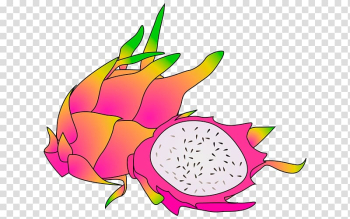 Pitaya Fruit , dragon fruit transparent background PNG clipart Pitaya Fruit , dragon fruit transparent background PNG clipart