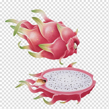 Pitaya Hylocereus undatus Fruit, Cut dragon fruit transparent background PNG clipart Pitaya Hylocereus undatus Fruit, Cut dragon fruit transparent background PNG clipart