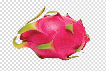 Pitaya Vietnamese cuisine Thai cuisine Fruit Guava, tropical fruit transparent background PNG clipart