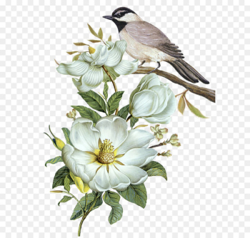 Pixel Computer file - Free hand-painted flowers and birds decorative patterns 