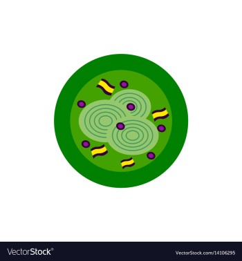 Pizza with onion simple pizza vector image Pizza with onion simple pizza vector image