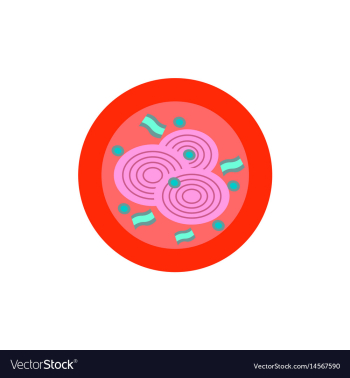 Pizza with onion simple pizza vector image Pizza with onion simple pizza vector image