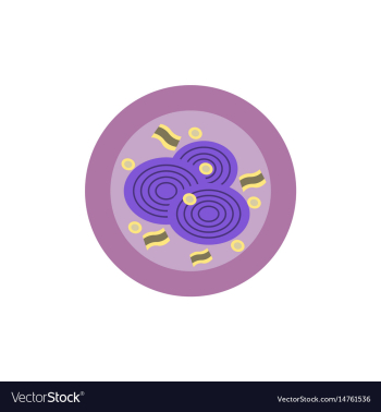 Pizza with onion simple pizza vector image Pizza with onion simple pizza vector image