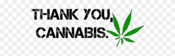 Pk, Medical Marijuana Inc - Parkpop