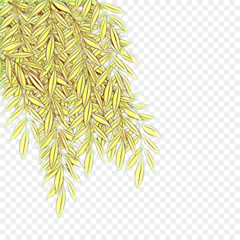 plant plant