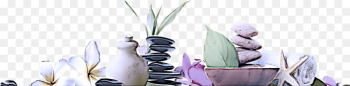plant plant