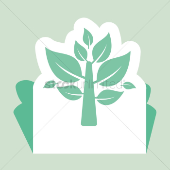 Plant Plant