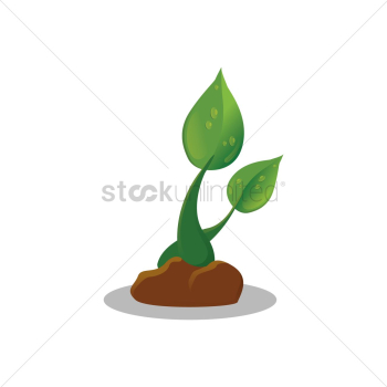 Plant Plant