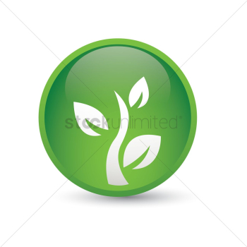 Plant Plant