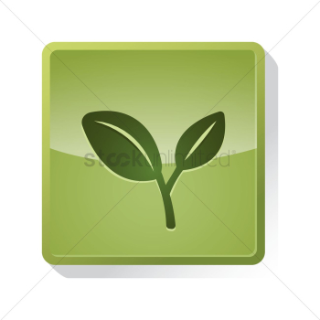 Plant Plant