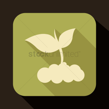 Plant Plant