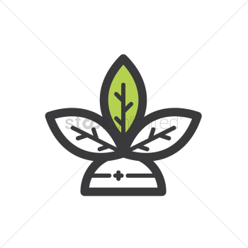 Plant Plant