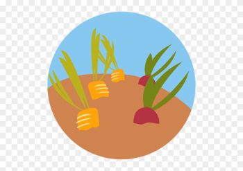 Plant A Row Donate A Row Gardens - Food Waste