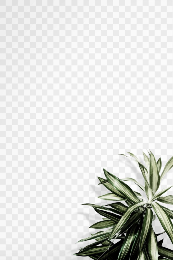 Plant border png wall mockup, | Free PNG Mockup - rawpixel