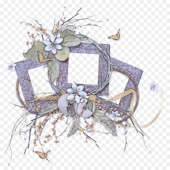 plant branch twig flower hydrangea plant branch twig flower hydrangea