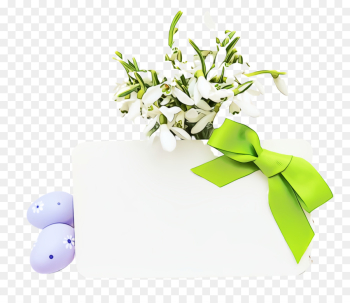 plant flower grass plant flower grass