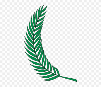 Plant Green, Leaf, Plant - D Lux Hotel Nakuru Plant Green, Leaf, Plant - D Lux Hotel Nakuru