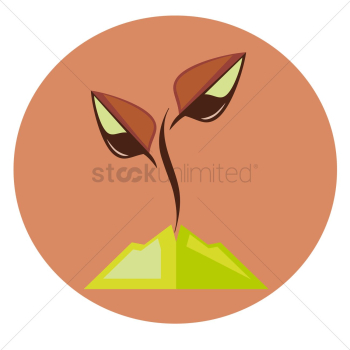 Plant growing from soil Plant growing from soil