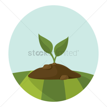 Plant growing in soil Plant growing in soil