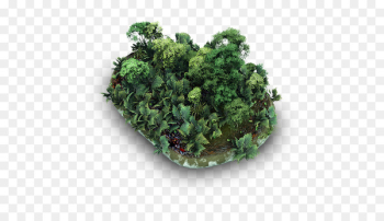 plant kale herb flowerpot shrub - Grassy Stone plant kale herb flowerpot shrub - Grassy Stone