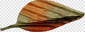 Plant Leaves Maple leaf, Autumn leaves transparent background PNG clipart Plant Leaves Maple leaf, Autumn leaves transparent background PNG clipart