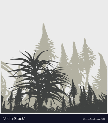 Plant life vector image Plant life vector image