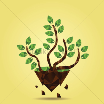 Plant on floating island Plant on floating island