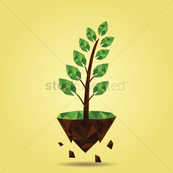 Plant on floating island Plant on floating island
