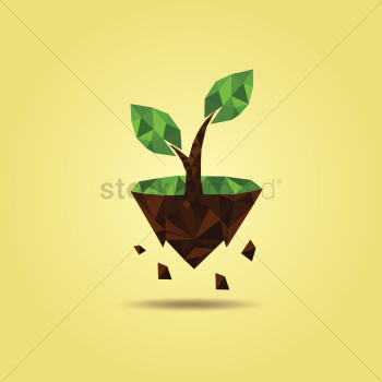 Plant on floating island Plant on floating island