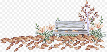 plant pine pine family plant pine pine family