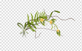 Plant stem Flower Grasses Branch Autumn, flower transparent background PNG clipart Plant stem Flower Grasses Branch Autumn, flower transparent background PNG clipart