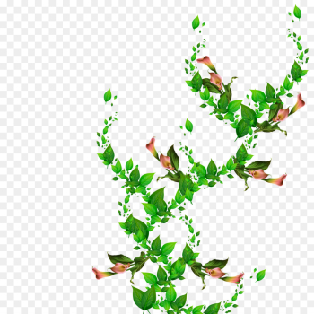 Plant Stem, Leaf, Flower, Plant PNG Plant Stem, Leaf, Flower, Plant PNG