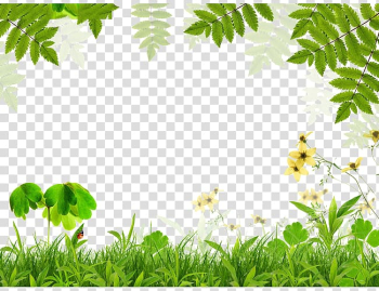 Plant-themed frame, Spring green Leaf Film frame, Green grass leaves border transparent background PNG clipart