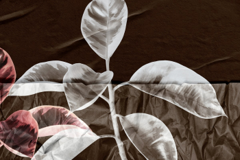 Plant with crinkled paper texture remixed… | Free stock illustration | High Resolution graphic