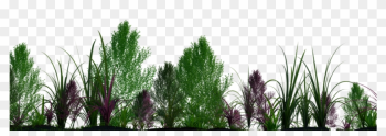 Plants Png 02 - Plantas Png