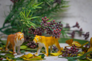 Plastic Animal Toys Plastic Animal Toys