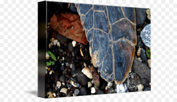 Plastic Leaf - Leaf Plastic Leaf - Leaf
