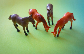 Plastic Toys Plastic Toys