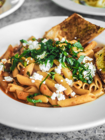 Plate of Cooked Pasta Plate of Cooked Pasta