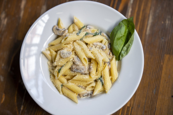 Plate of Pasta Plate of Pasta