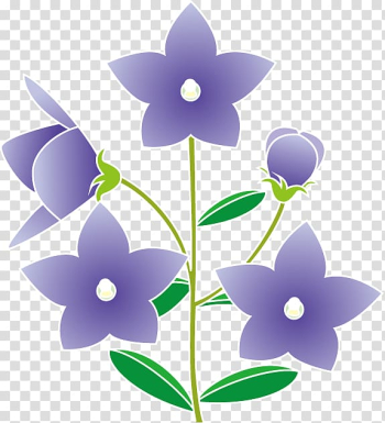 Platycodon grandiflorus Summer , summer flower transparent background PNG clipart