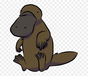 Platypus Beaver Animal Cartoon Drawing - Platypus Beaver Animal Cartoon Drawing Platypus Beaver Animal Cartoon Drawing - Platypus Beaver Animal Cartoon Drawing