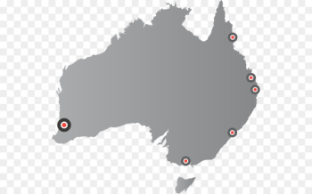 Platypus Grey-bellied dunnart White-tailed dunnart Dasyurids Subtropical antechinus -  