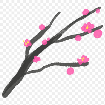 Plum blossom flower png floral illustration Plum blossom flower png floral illustration