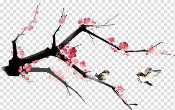 Plum blossom Petal Flower, Plum flower transparent background PNG clipart Plum blossom Petal Flower, Plum flower transparent background PNG clipart