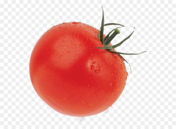 Plum Tomato, Cherry Tomato, Vegetable, Tomato, Solanum PNG Plum Tomato, Cherry Tomato, Vegetable, Tomato, Solanum PNG
